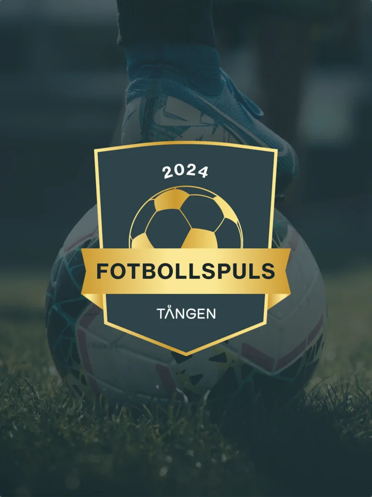 Tången brings together West Sweden’s business community and elite football clubs for a unique season kick-off event