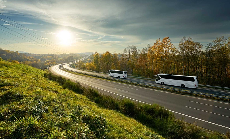 Buses driving on a rural road surrounded by forest and grassland